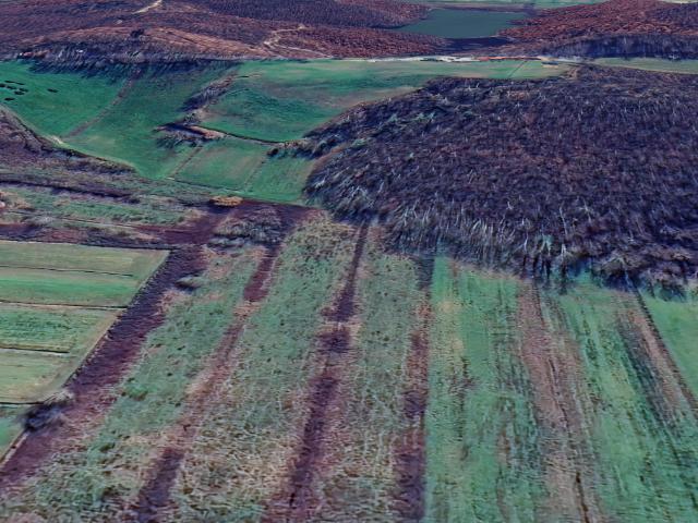 Terreno Agricolo in vendita, Cerreto Guidi stabbia