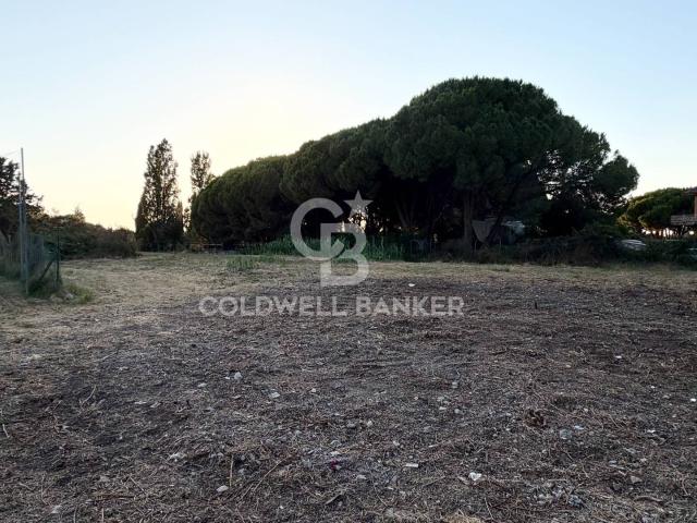 Terreno agricolo in vendita a Tarquinia, San Giorgio