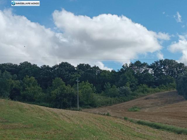 Terreno Agricolo in vendita a Termoli, Porticone
