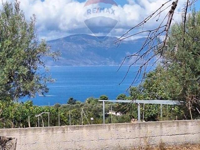 Terreno agricolo in vendita a Terrasini