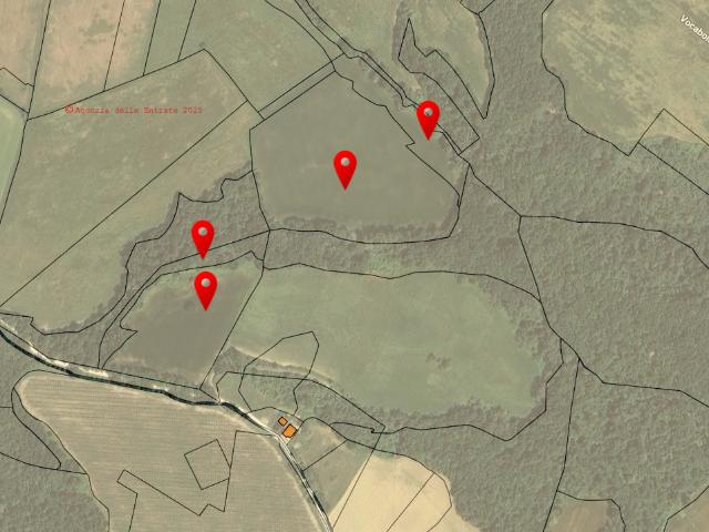 Terreno agricolo in Vendita a Todi