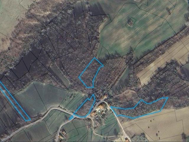 Terreno Agricolo in vendita a Tolentino
