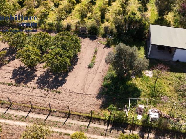 Terreno Agricolo in vendita a Tortol