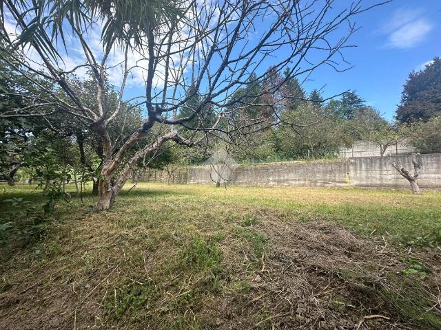 Terreno agricolo in vendita a Torino