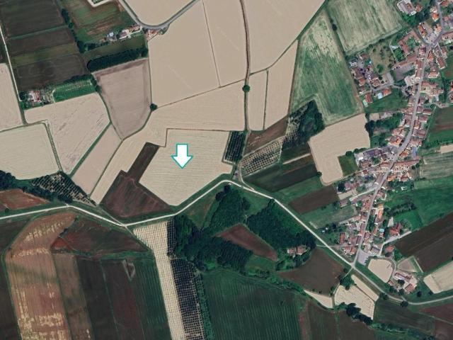 Terreno Agricolo in vendita a Travacò Siccomario