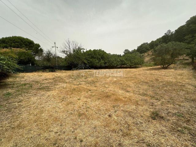 Terreno agricolo in vendita a Trevignano Romano