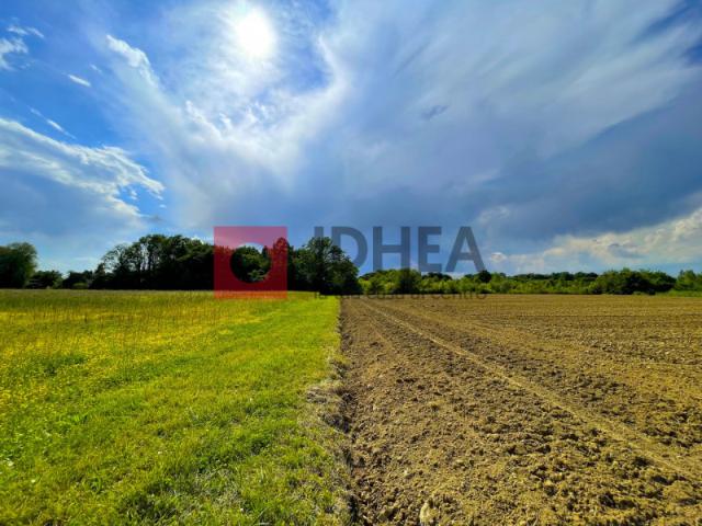 Terreno agricolo in Vendita a Treviso