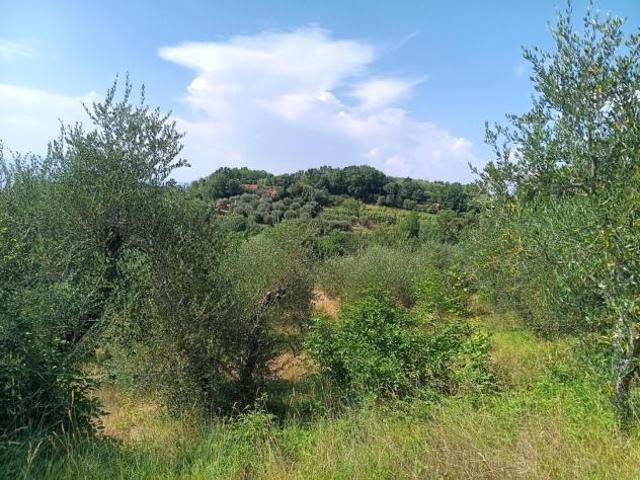 Terreno agricolo in vendita a Treggiaia Pontedera 100000 mq Rif: 938474