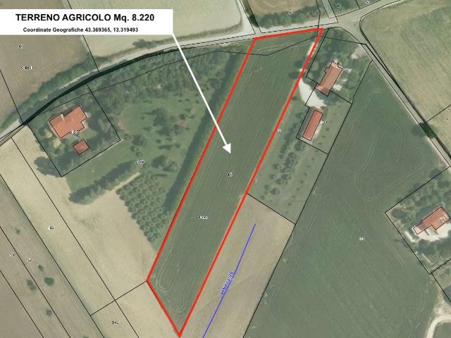 Terreno agricolo in Vendita a Treia
