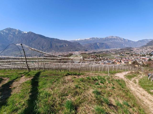 Terreno agricolo in vendita a Trento