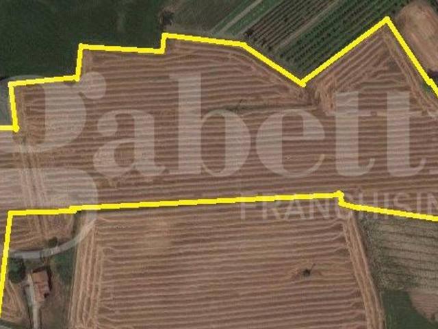 Terreno agricolo in vendita a Tribano