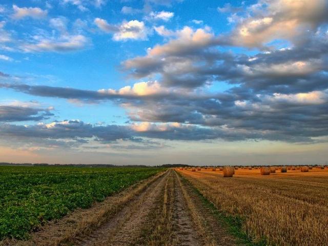 Terreno Agricolo in vendita a Truccazzano