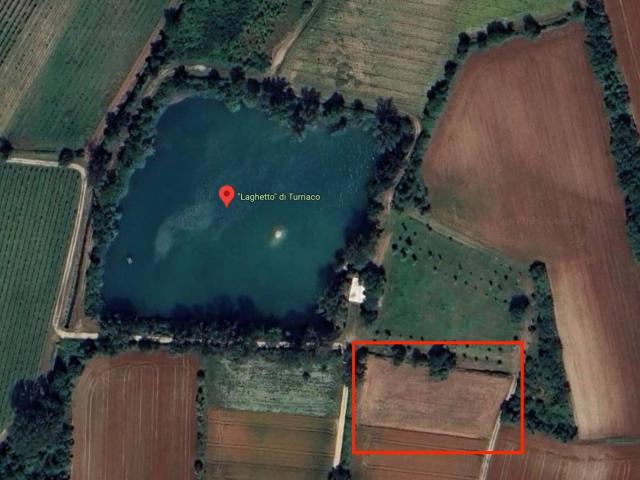 Terreno Agricolo in vendita a Turriaco