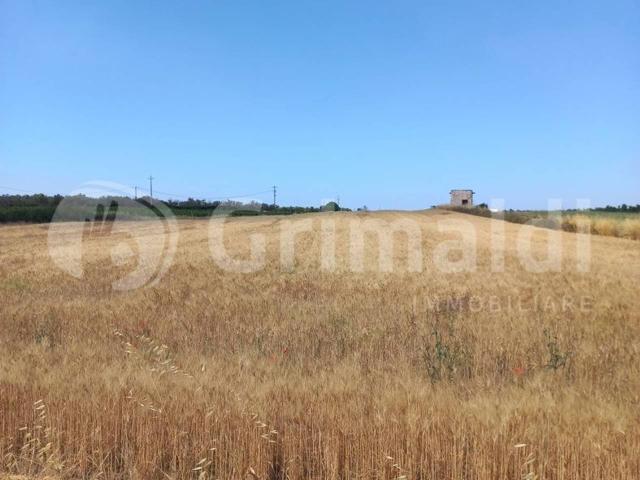 Terreno agricolo in vendita a Ugento