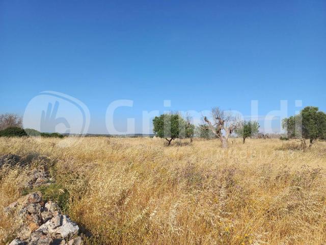 Terreno agricolo in vendita a Ugento