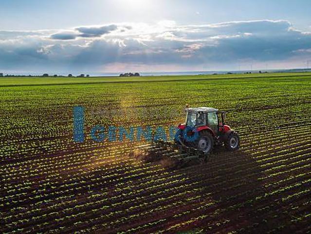 Terreno Agricolo in vendita a Udine, Udine Est