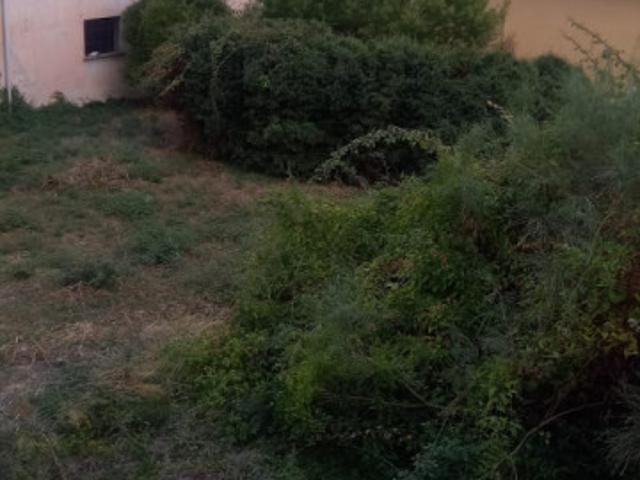 Terreno agricolo in Vendita a Vallecrosia