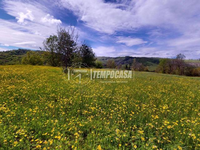 Terreno agricolo in vendita a Valsamoggia