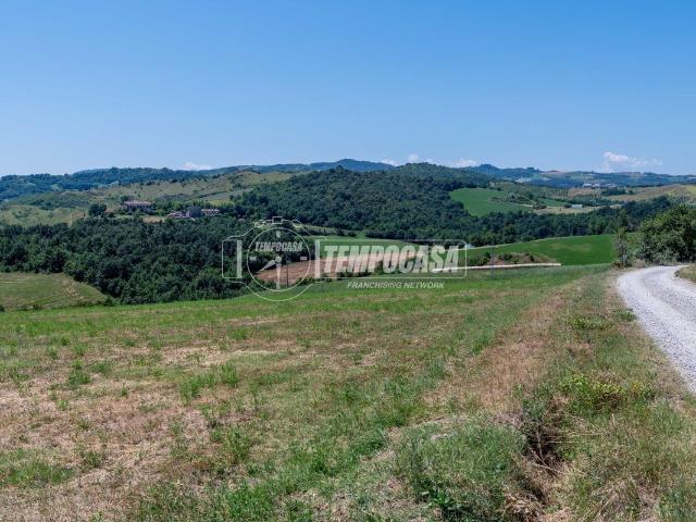 Terreno agricolo in vendita a Valsamoggia