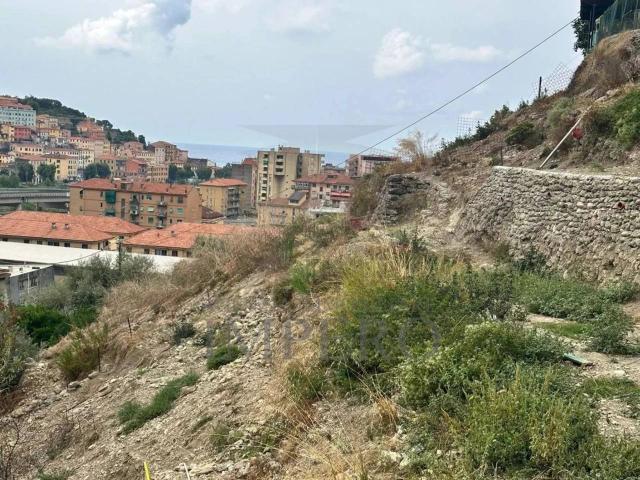 Terreno agricolo in vendita a Ventimiglia
