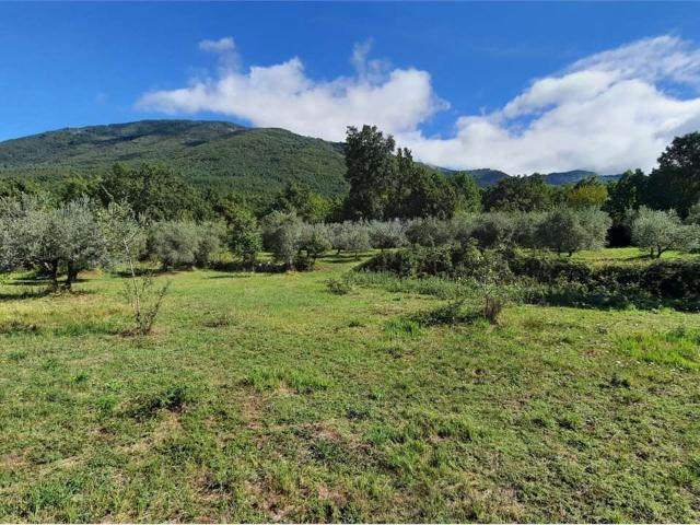 Terreno agricolo in Vendita a Veroli