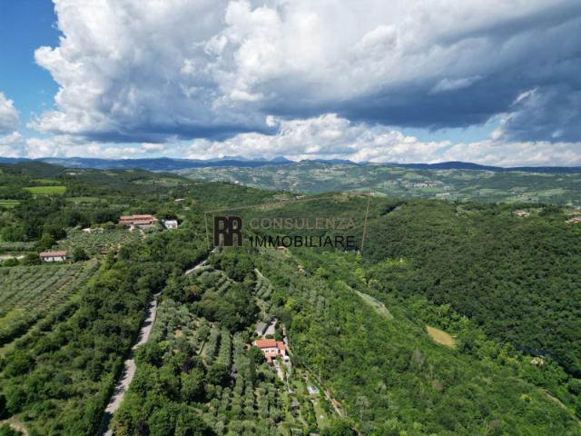 Terreno agricolo in Vendita a Verona
