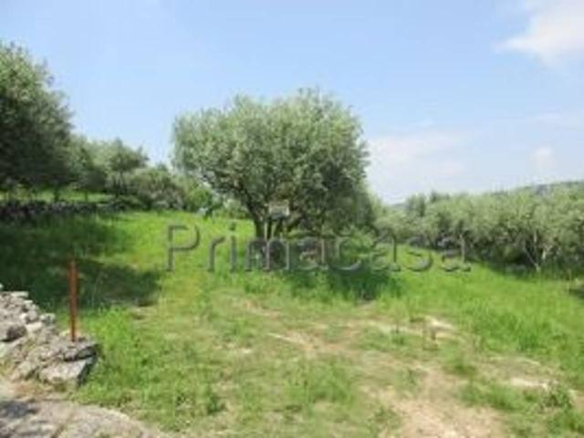 Terreno agricolo in vendita a Verona