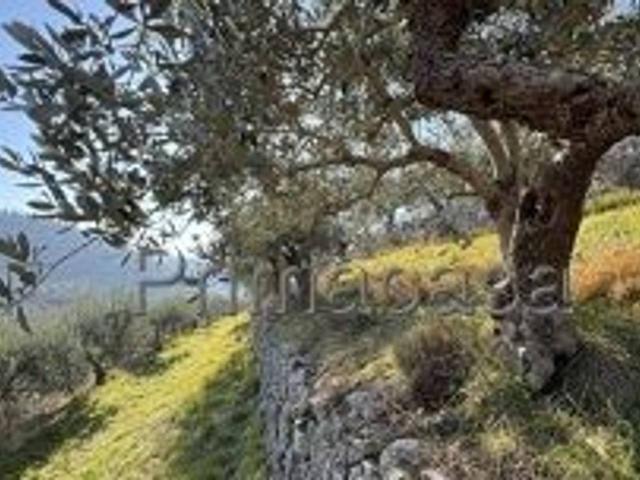 Terreno agricolo in vendita a Verona