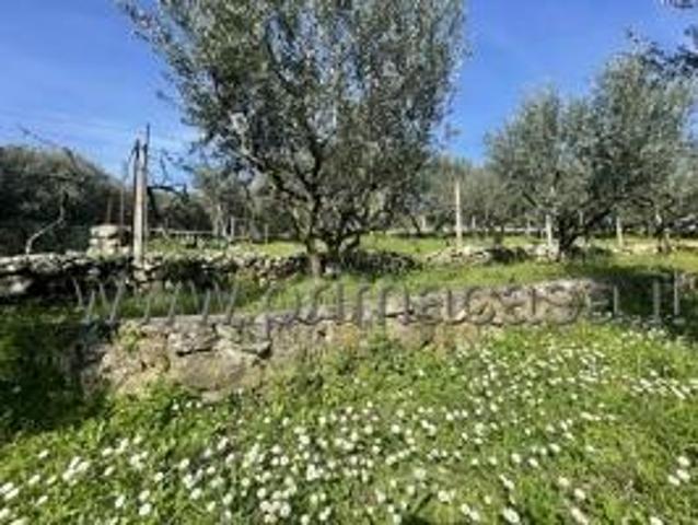 Terreno agricolo in vendita a Verona