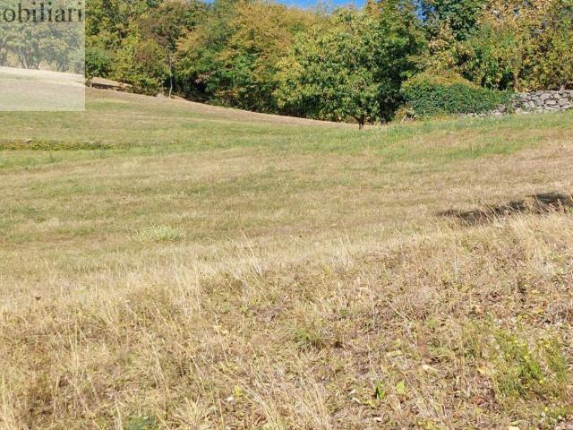 Terreno Agricolo in vendita a Vestenanova