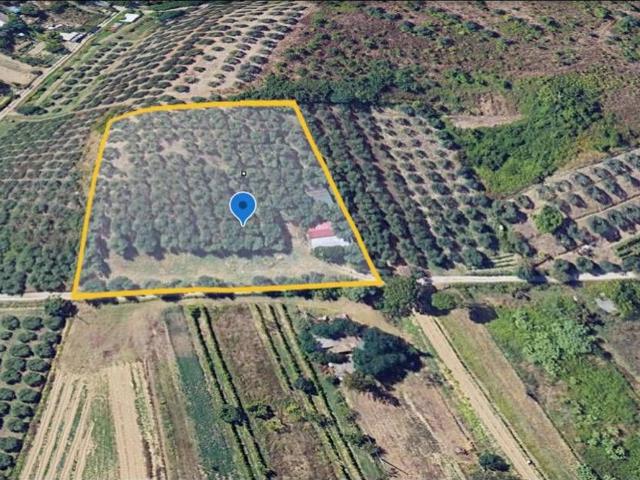 Terreno agricolo in vendita a Vinci