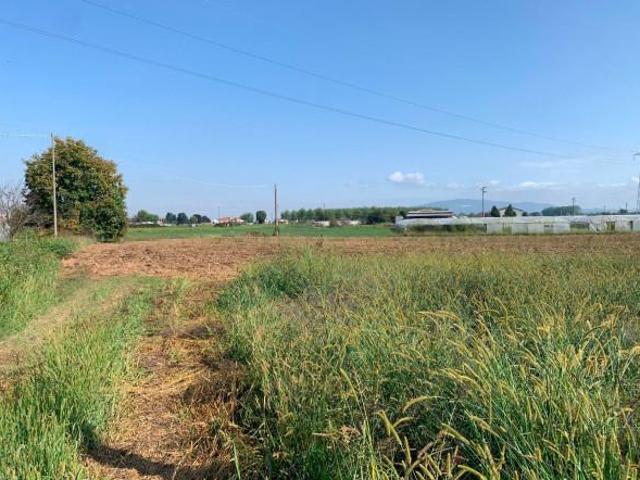 Terreno agricolo in vendita a Vinovo