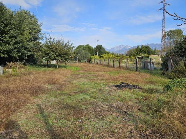 Terreno agricolo in Vendita a Viareggio