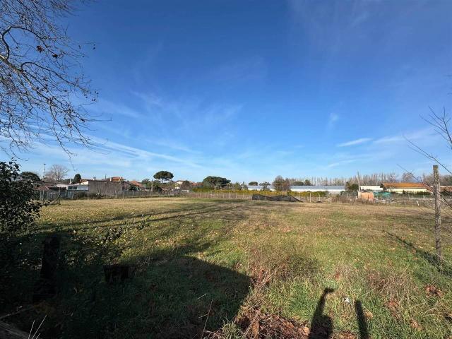 Terreno agricolo in vendita a Viareggio