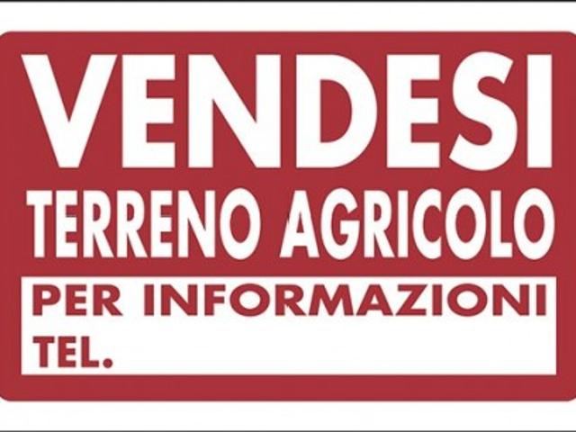 Terreno agricolo in Vendita a Vicenza