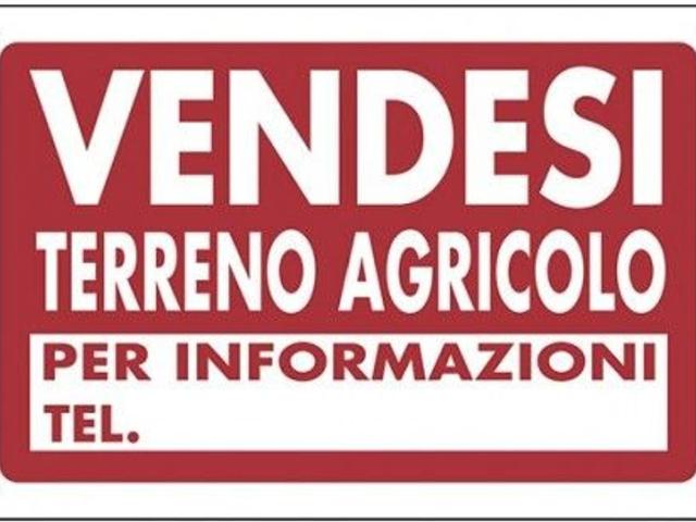 Terreno agricolo in vendita a Vicenza