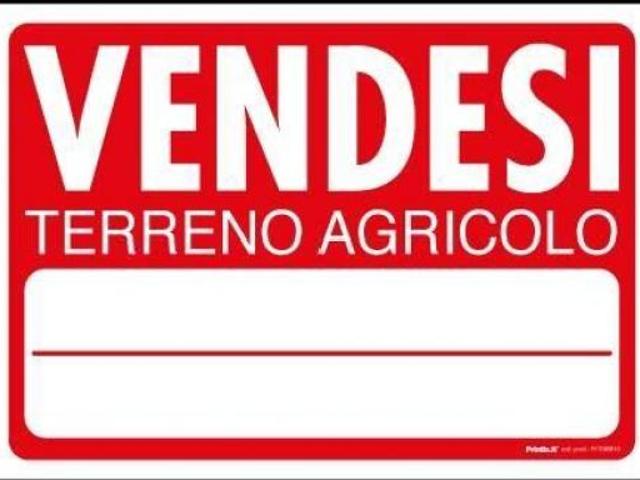 Terreno agricolo in vendita a Vicopisano 1300 mq Rif: 1399719