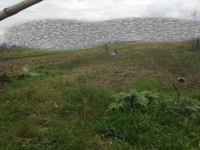 Terreno agricolo in vendita a Vicopisano 2000 mq Rif: 1352016