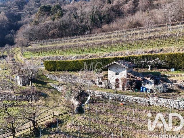 Terreno agricolo in vendita a Villa Lagarina