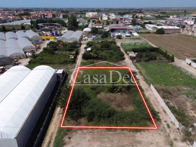 Terreno Agricolo in vendita a Villa Literno