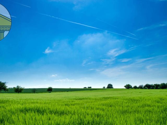 Terreno Agricolo in vendita a Villorba, Catena