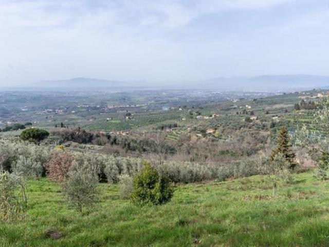 Terreno agricolo in vendita a Vitolini Vinci 18450 mq Rif: 1399141