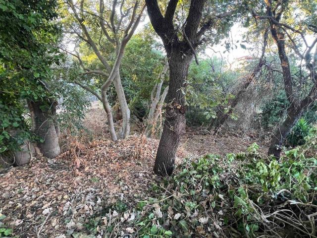 Terreno agricolo in vendita a Aci Sant'Antonio