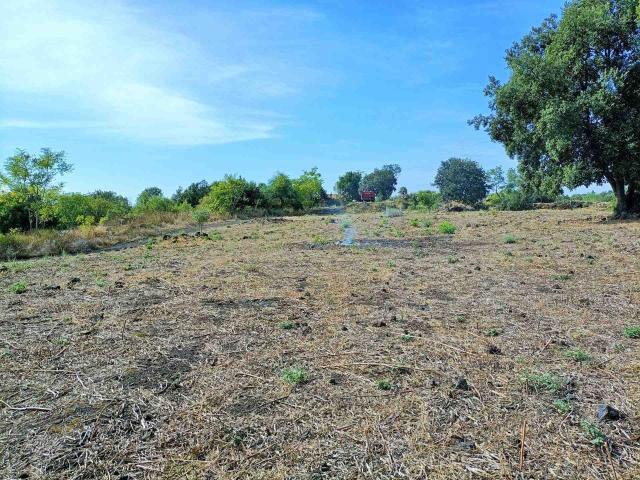 Terreno agricolo in vendita a Aci Sant'Antonio