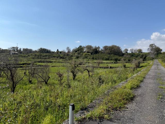 Terreno agricolo in Vendita a Acireale