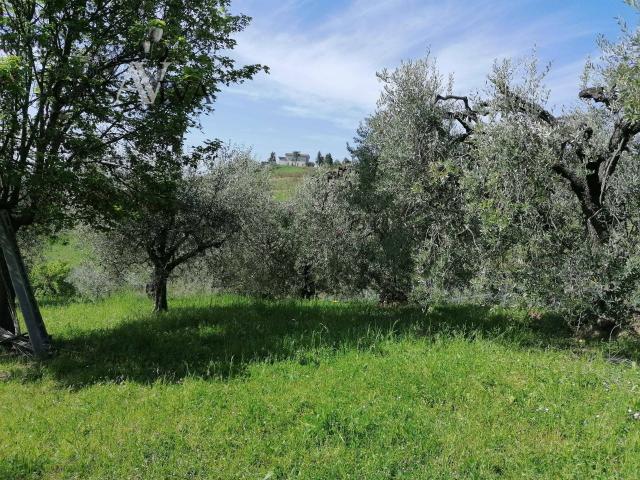 Terreno Agricolo in vendita a Acquaviva Picena, Forola
