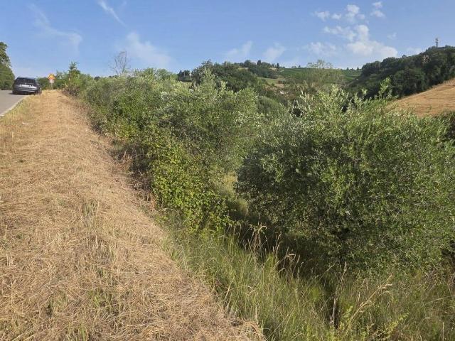 Terreno agricolo in vendita a Acquaviva Picena