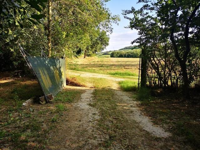 Terreno agricolo in vendita a Agugliano