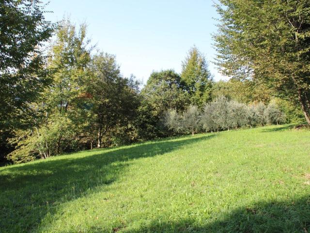 Terreno agricolo in vendita a Almenno San Bartolomeo