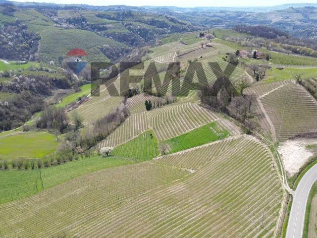 Terreno agricolo in vendita a Alba